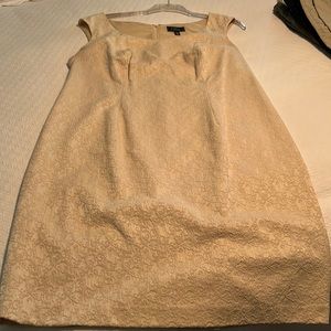 Dressbarn Collection Creamy Yellow Dress